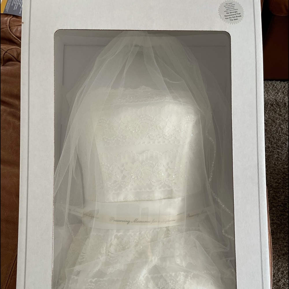 Wedding Dress and Veil